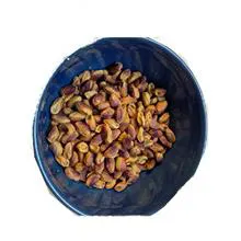 مغز