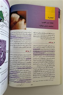 جنین