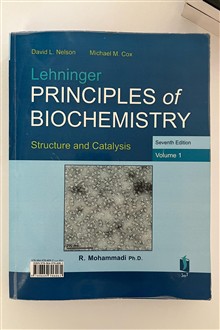 اصول