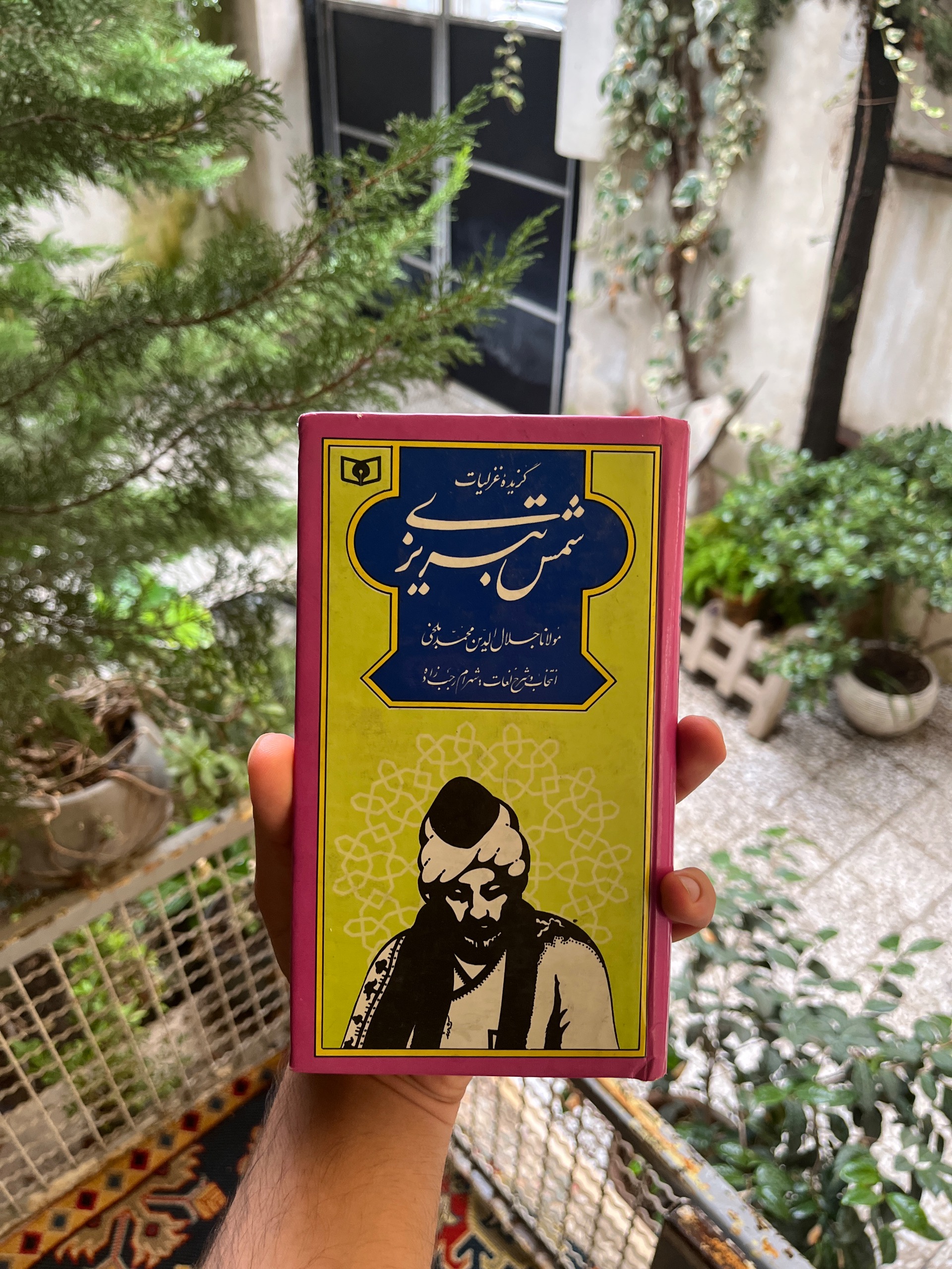 گزیده غزلیات شمس