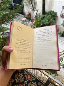 گزیده