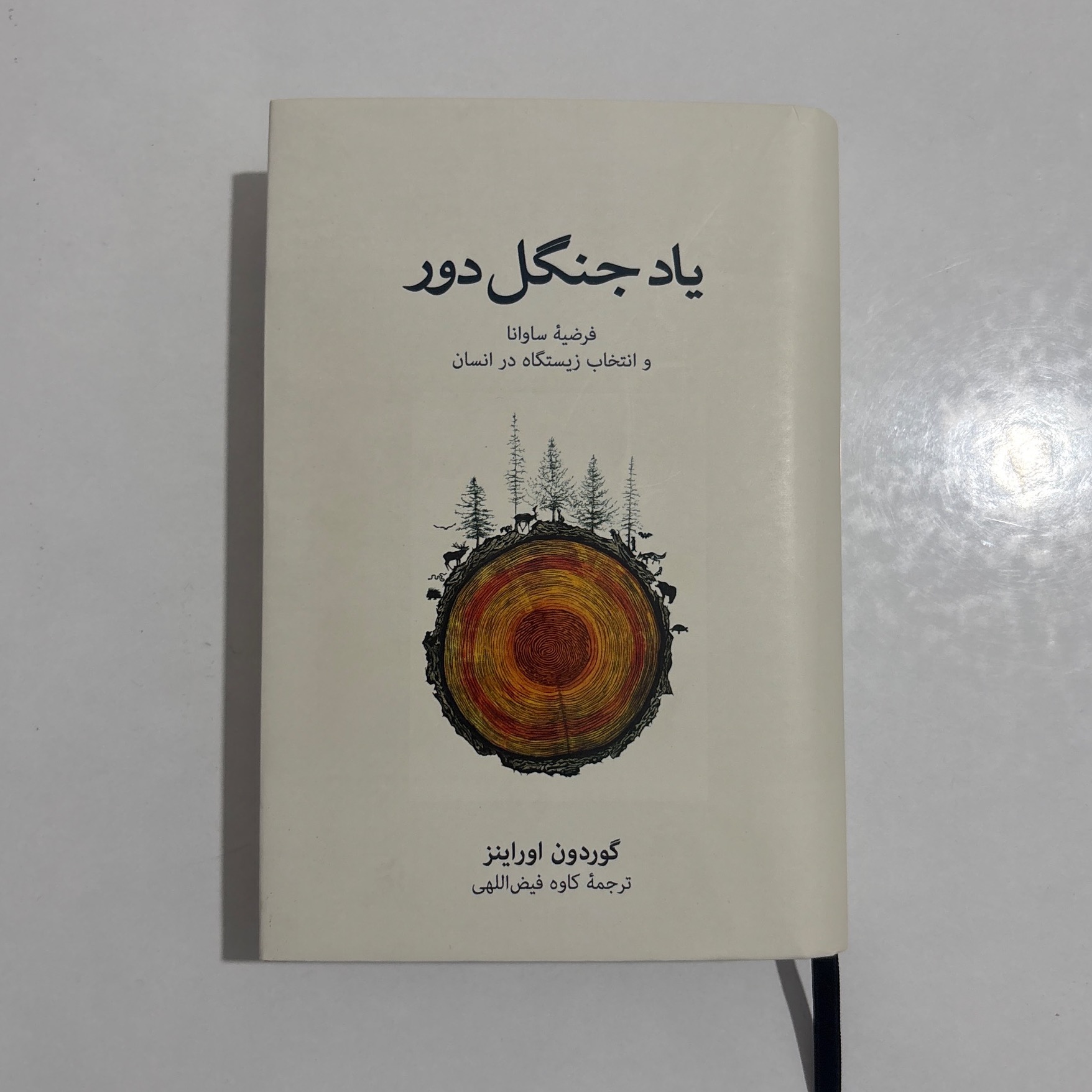 یاد جنگل دور