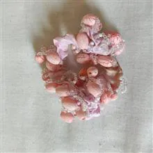 کش