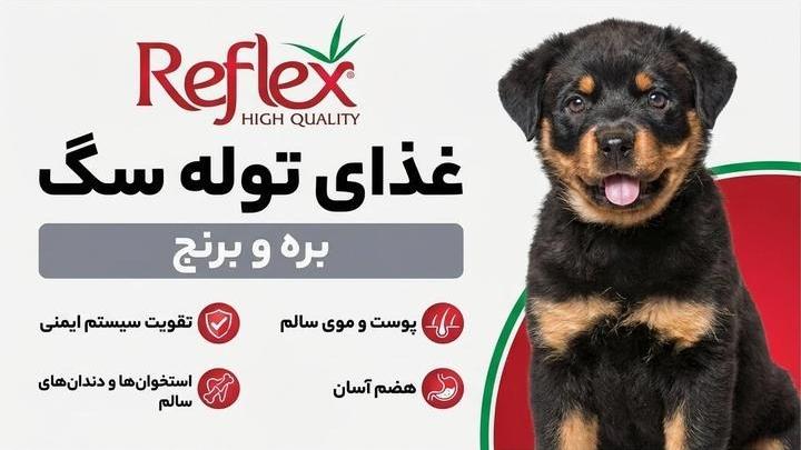 غذای خشک توله سگ رفلکس با طعم بره و برنج ترکیه