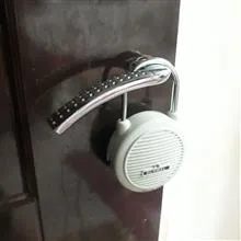 دزدگیر