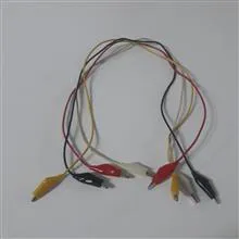 فیش