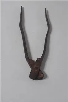 انبر