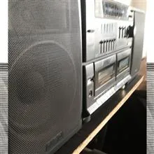 ظبط