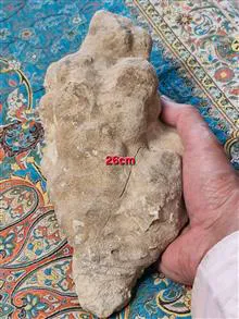 فسیل