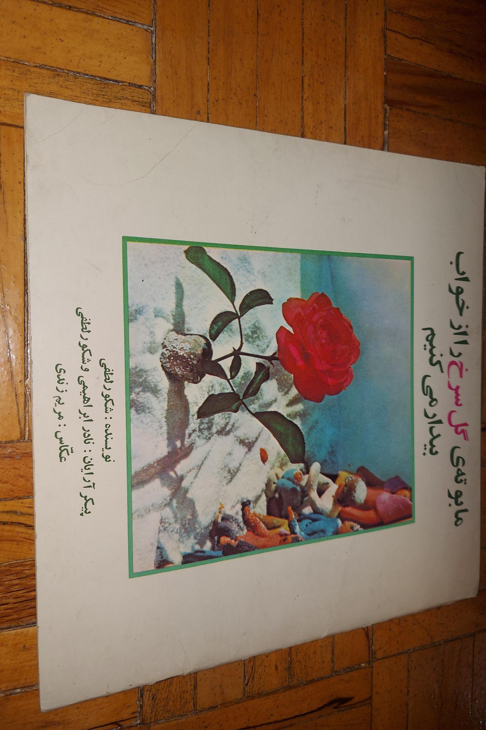 ما بوته گل سرخ را ....- همگام