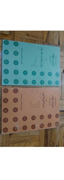 گزیده