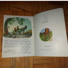مارتین
