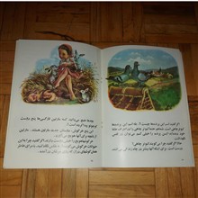 مارتین