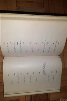 هشنمین