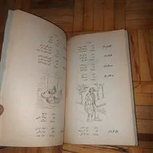 جنس