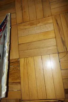 جنس