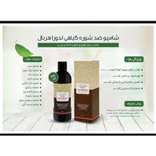 شامپو