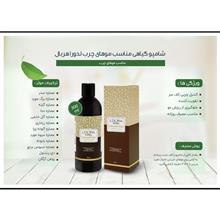 شامپو