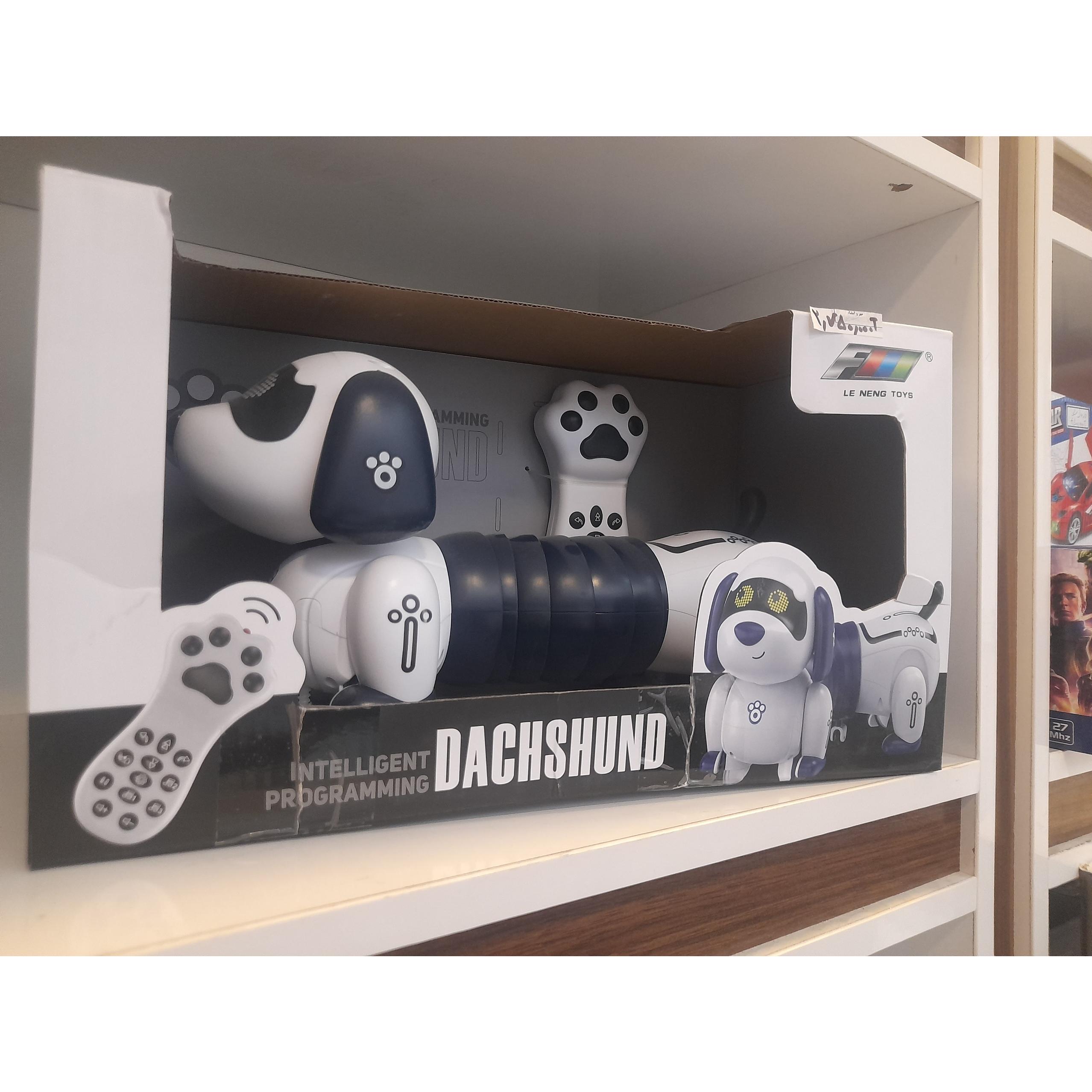 سگ کنترلی رباتیک