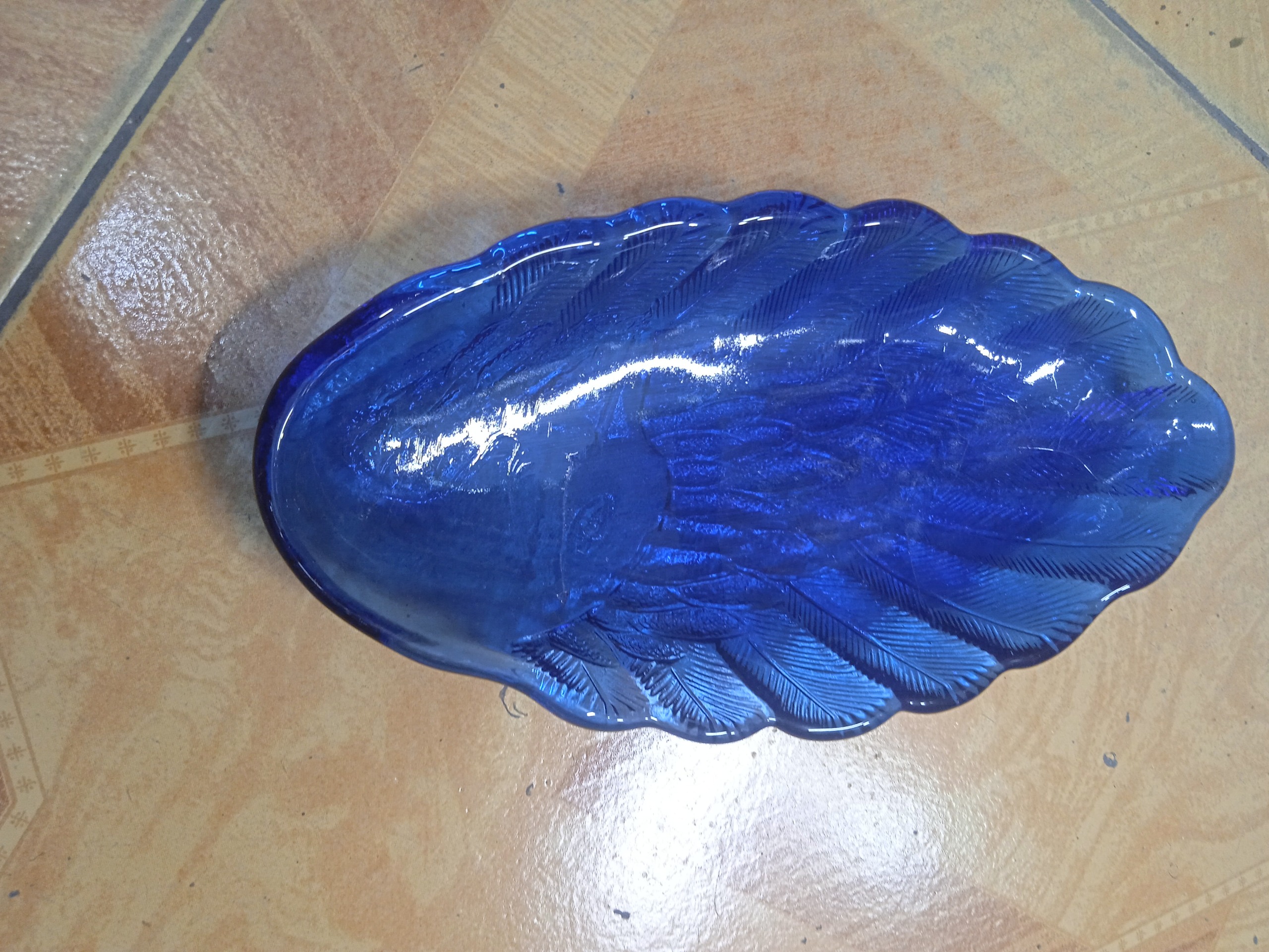 بیسکوییت خوری آبی