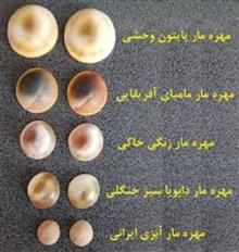 مهره