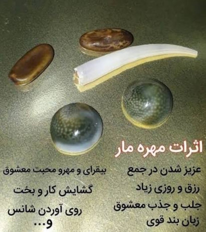 مهره مار ایرانی اصل
