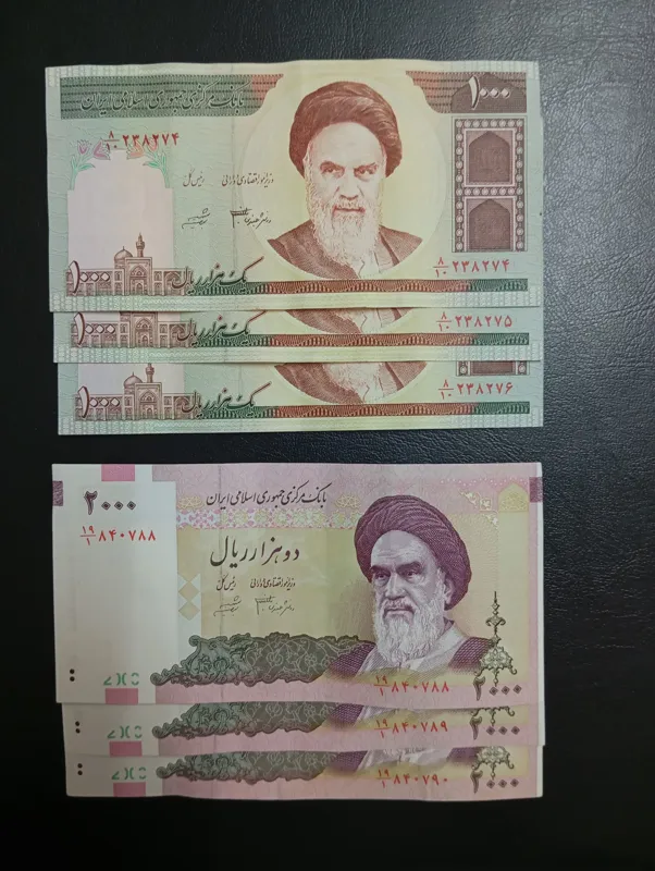 تریپل دانش جعفری شیبانی