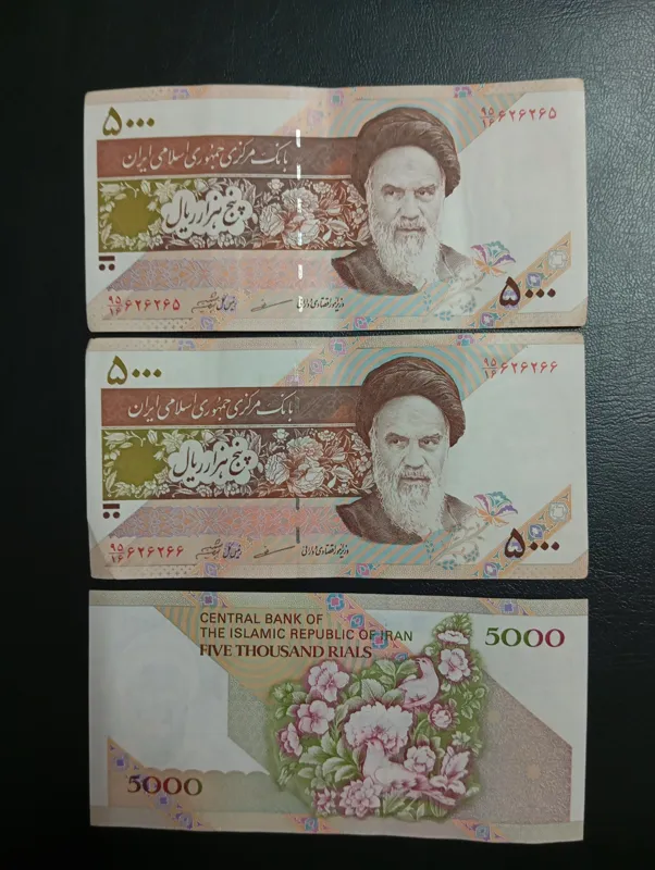 500 گل و بلبل شیبانی مظاهری (جفت)