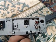 ظبط