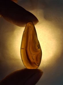 عقیق