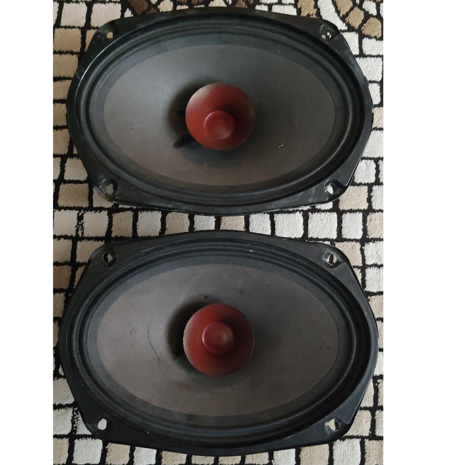 میدرنج پاناتک بیضی