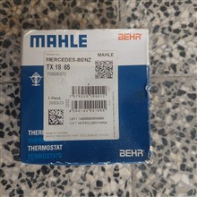ترموستات1865