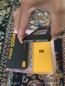 گوشی