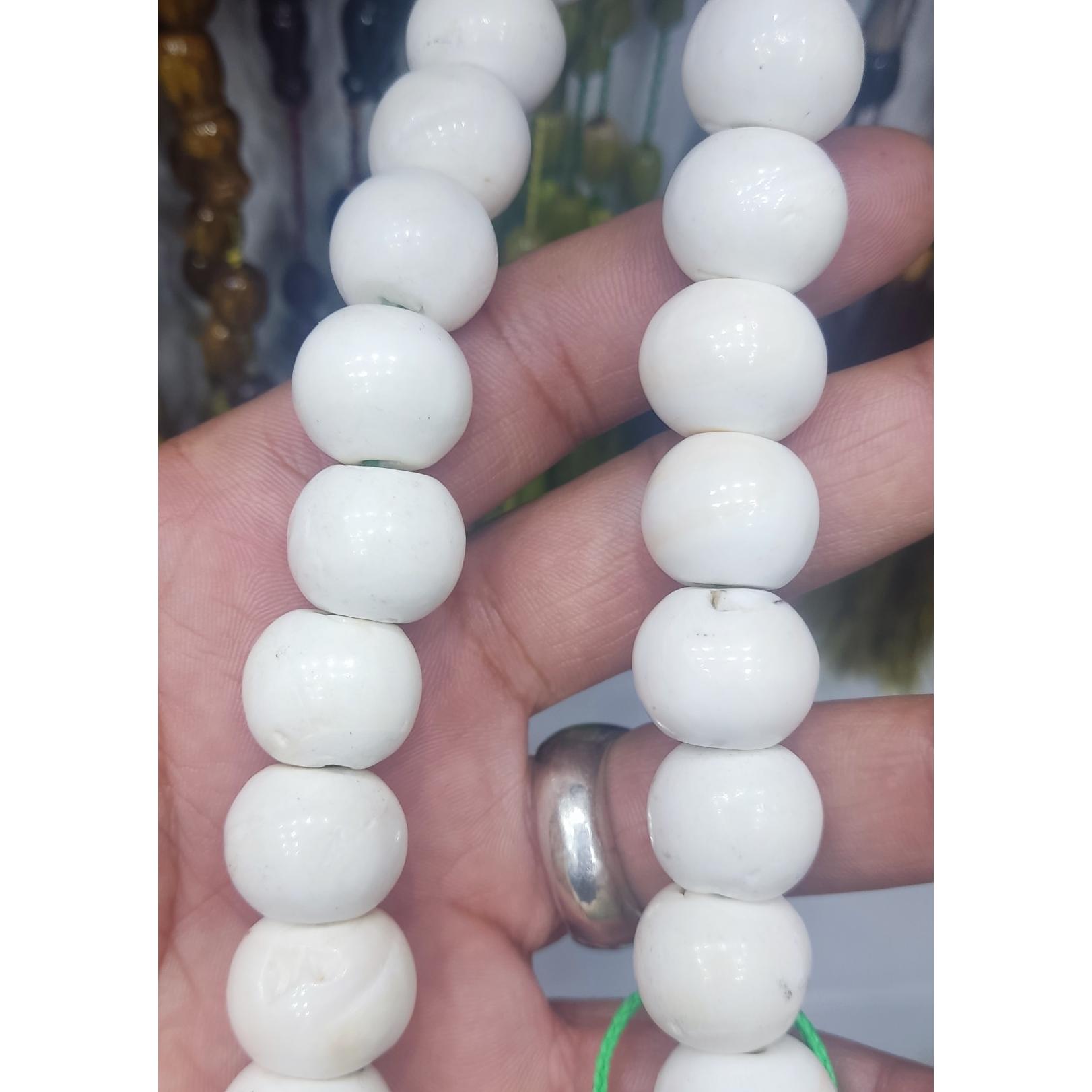 مهره عطف دریایی