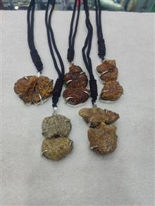 گردنی