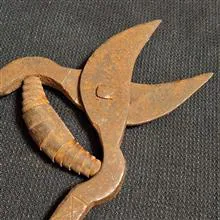 قیچی
