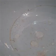 کاسه