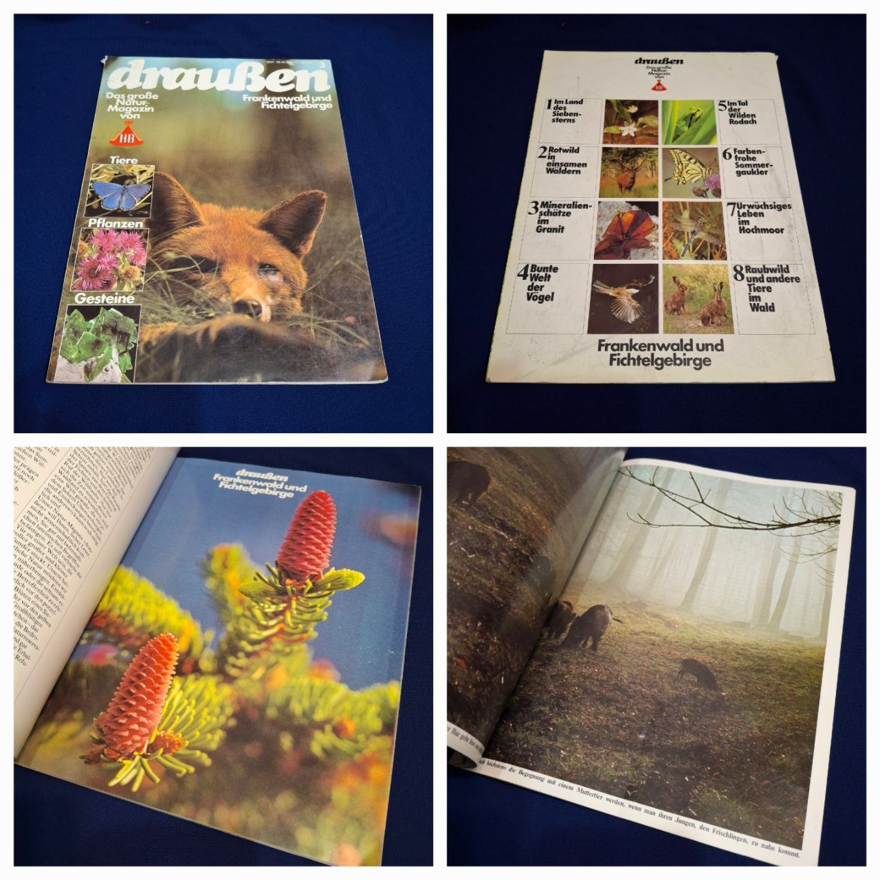 مجله درابن آلمانی حیات وحش چاپ آلمان کمیاب