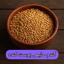 گندم
