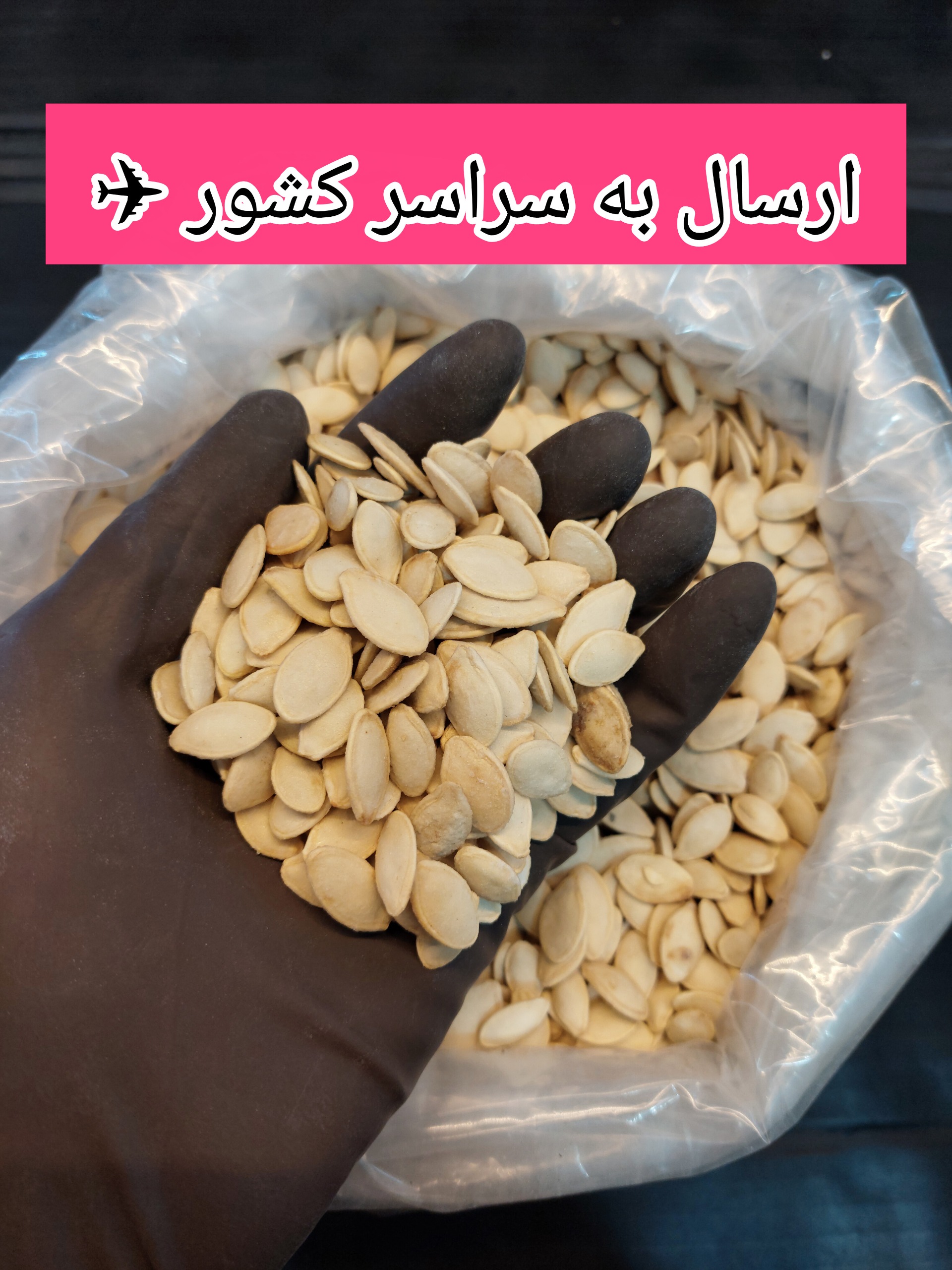 تخمه کدو گوشتی نمکی 250 گرم