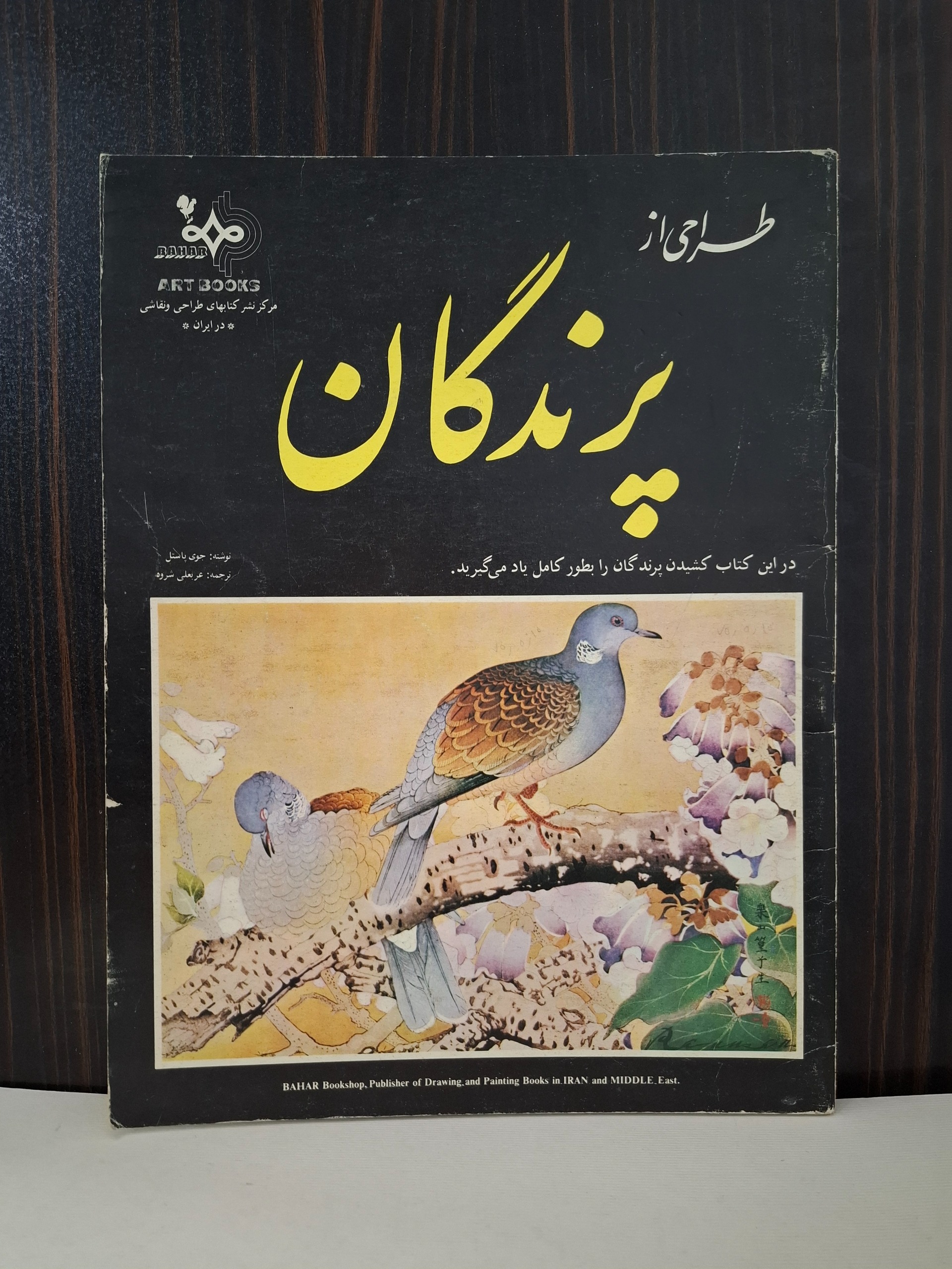 طراحی از پرندگان