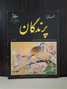 طراحی