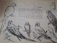 طراحی