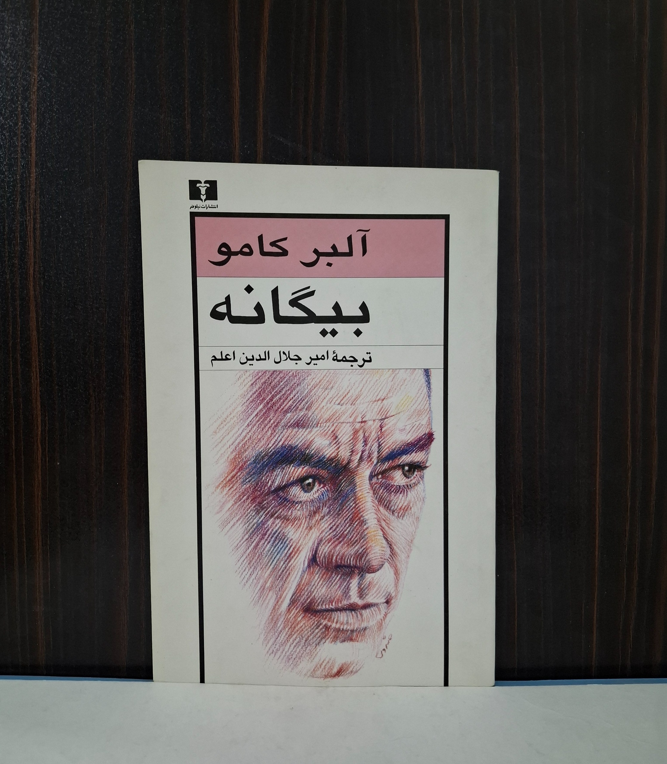 بیگانه آلبر کامو