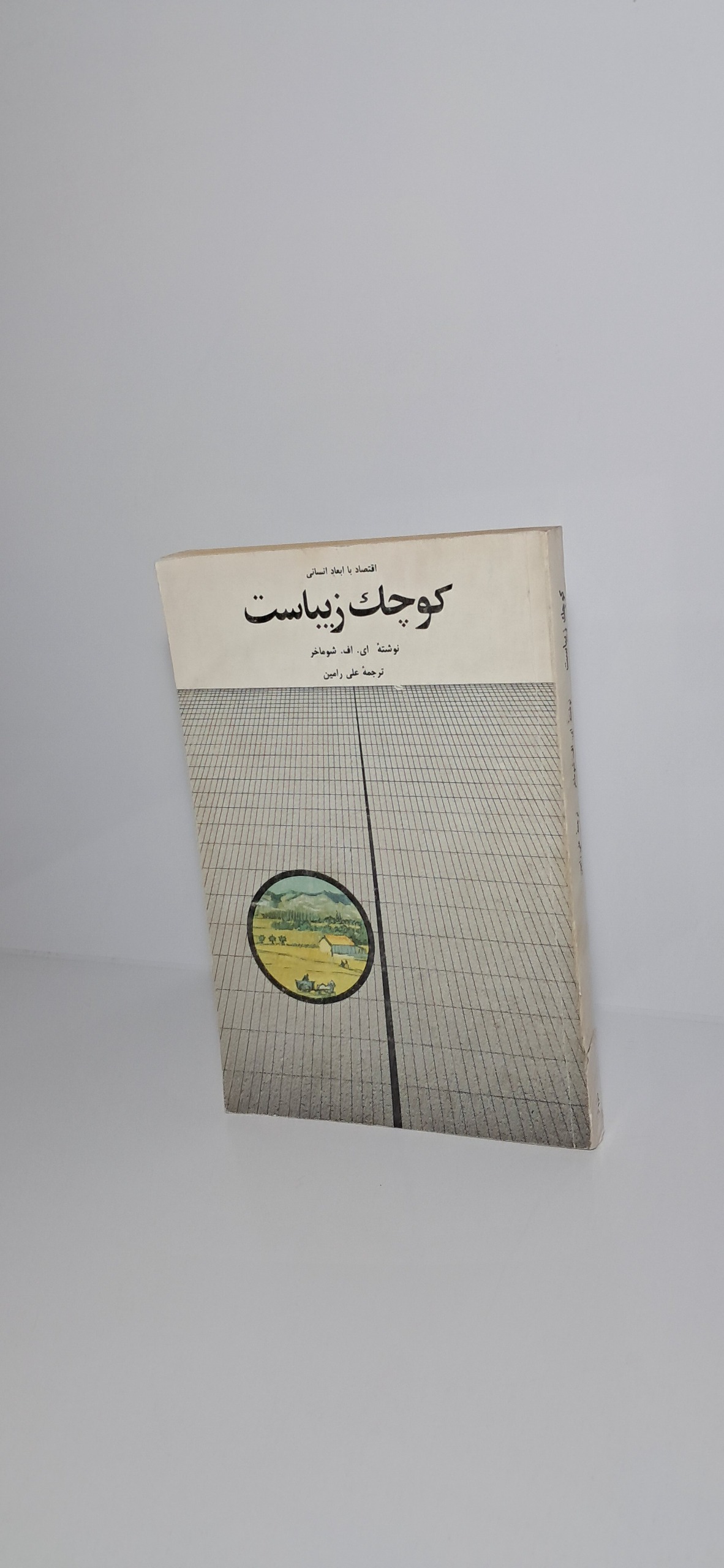 کوچک زیباست (اقتصاد با ابعاد انسانی)