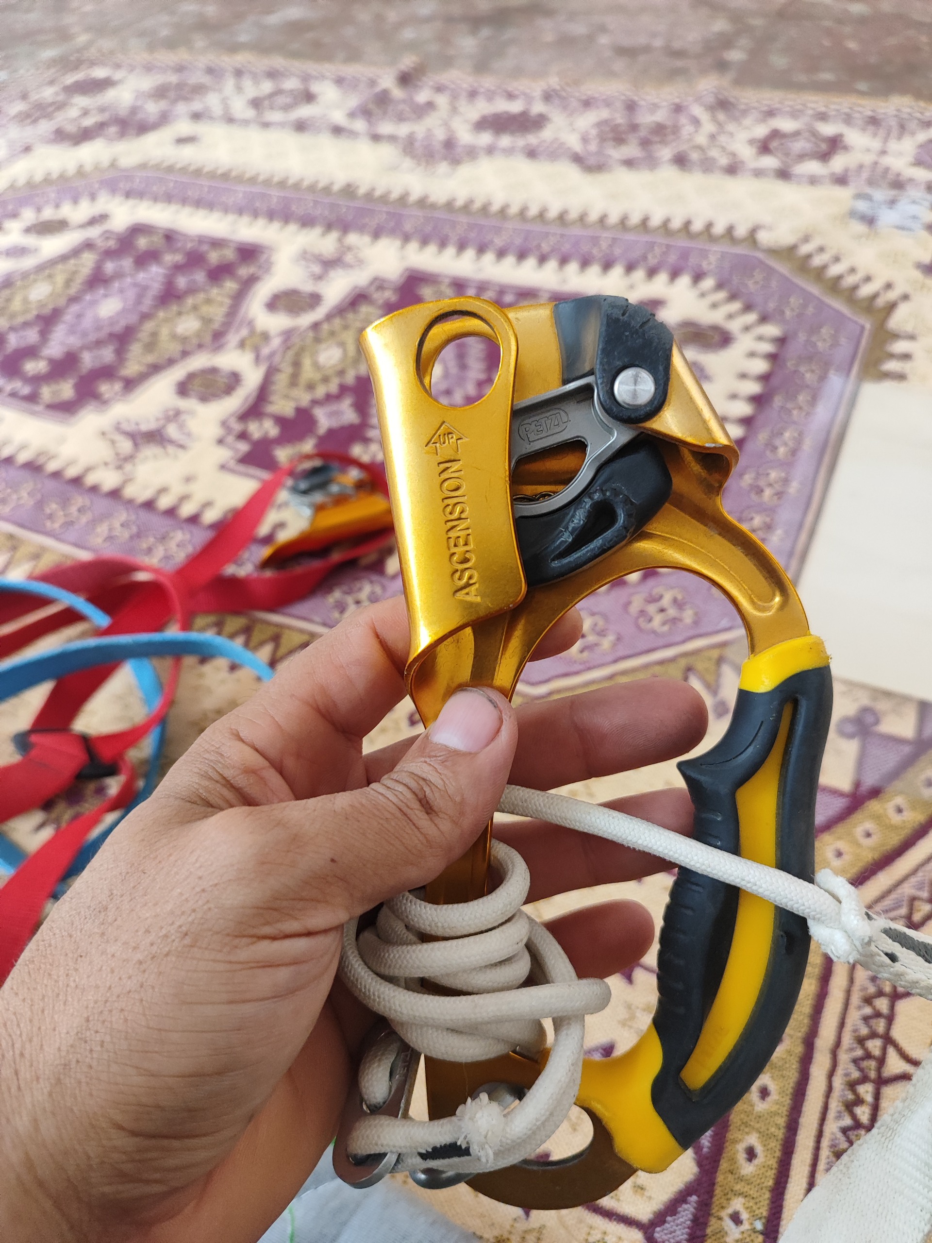 یومار کوهنوردی حرفه ای