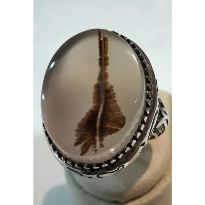 شجر کلکسیونی تک درخت و منظره تکرار نشدنی