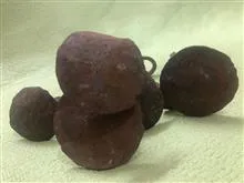 میخ