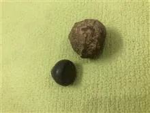 دو
