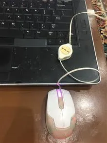 موس